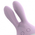 rabbit_categoria