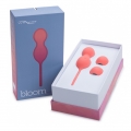 bloom-3-550