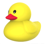 letendudu1